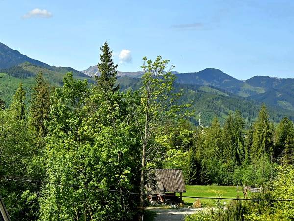 widok latem od str. południa