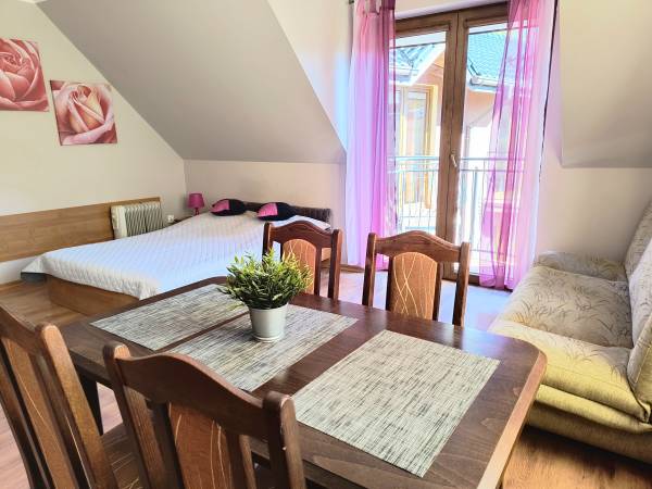 Apartament -studio z balkonem 