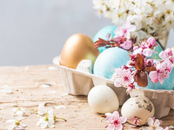 Hotel Wodnik - Twój Hotel z widokiem na morze