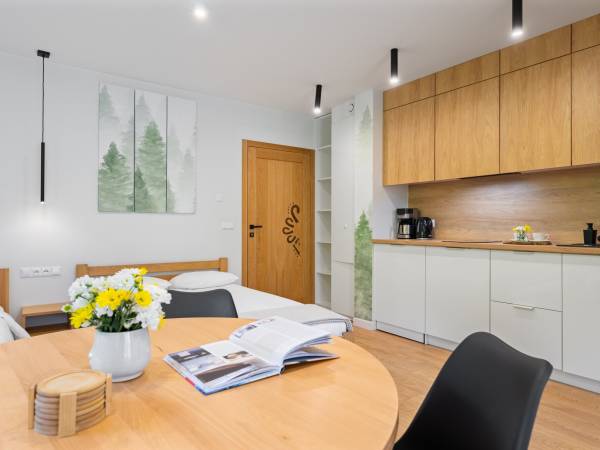 Pokój studio Cegiełka