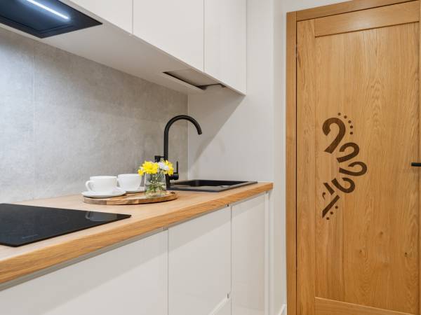 Pokój studio Brzózka