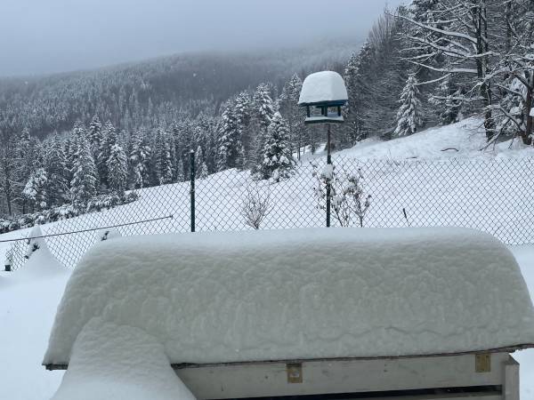 Arkadia pod Diablakiem