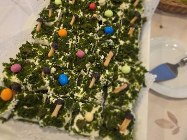 Hotel Wodnik - Twój Hotel z widokiem na morze