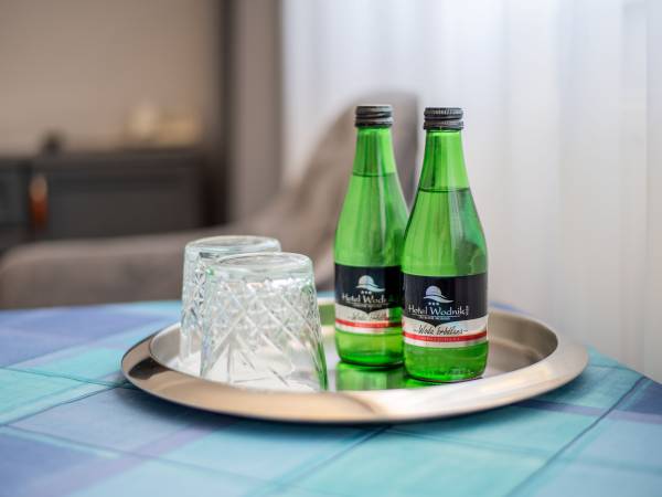 Hotel Wodnik - Twój Hotel z widokiem na morze