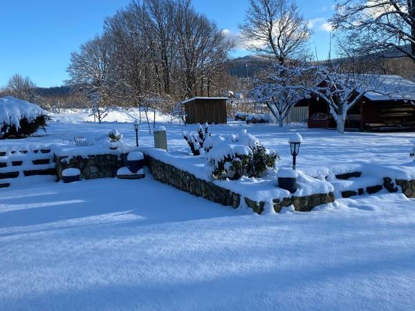 Noclegi przy strumyczku