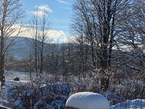 Noclegi przy strumyczku