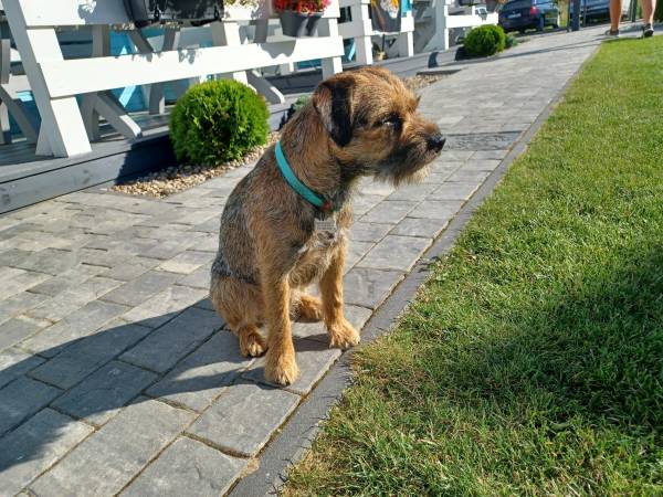 Błękitne Zamorze i Domki Premium