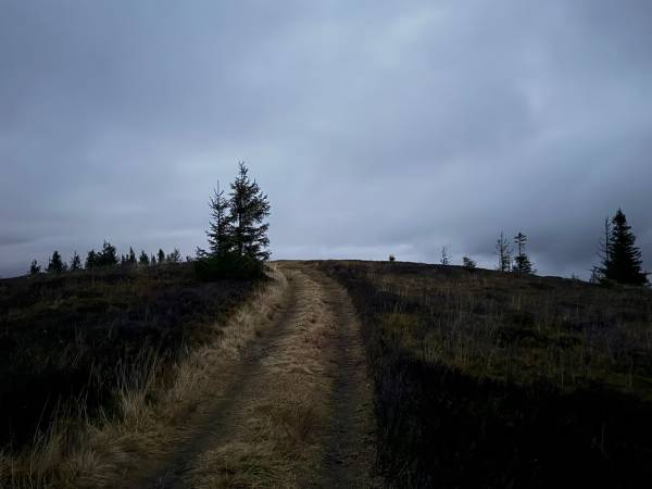 Miętusowa Chata pod Babią