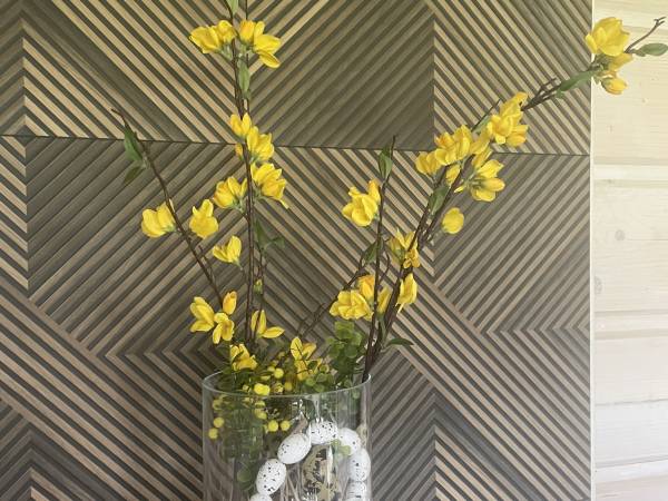 Miętusowa Chata pod Babią