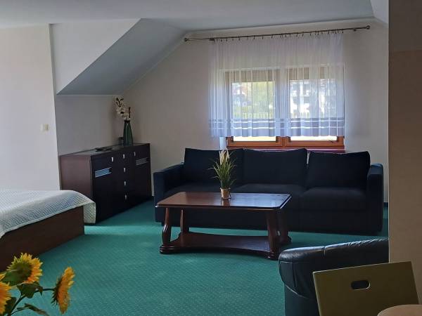 Apartament Delux typu studio