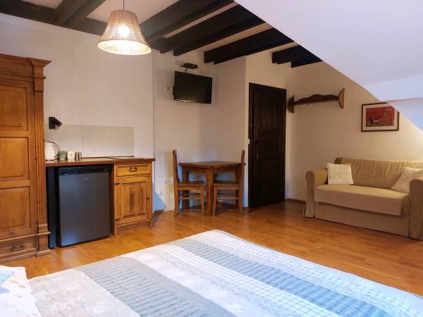 Pokój 2-osobowy z aneksem kuchennym i łazienką