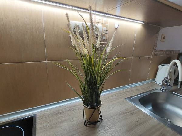 Apartament Aneks Kuchenny