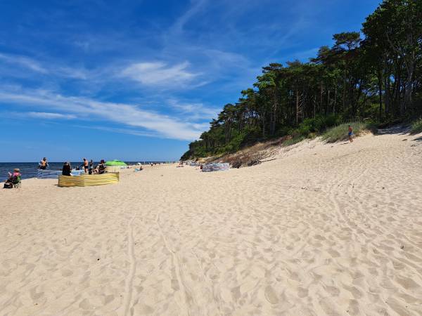 Błękitne Zamorze i Domki Premium