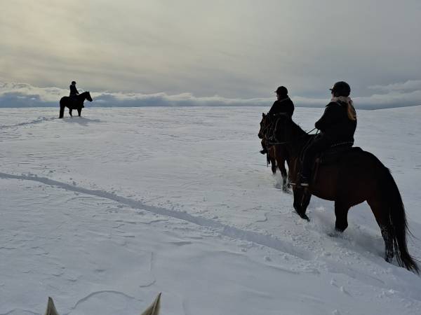 GOŚCINIEC EDEN-noclegi bliskoTATRALANDI, SUPER ZNIŻKI: BASENY,SPA....