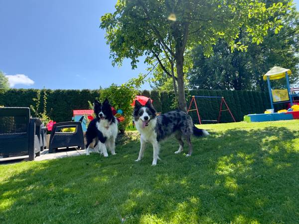 Pokoje gościnne Joanna Zapała