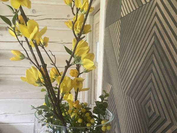 Miętusowa Chata pod Babią