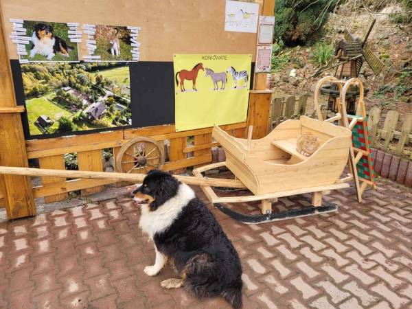 Agroturystyka-Zagroda Studzienno