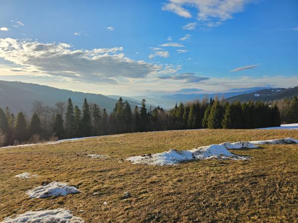 Dom Wypoczynkowy Leśniczówka 18 Węgierska Górka