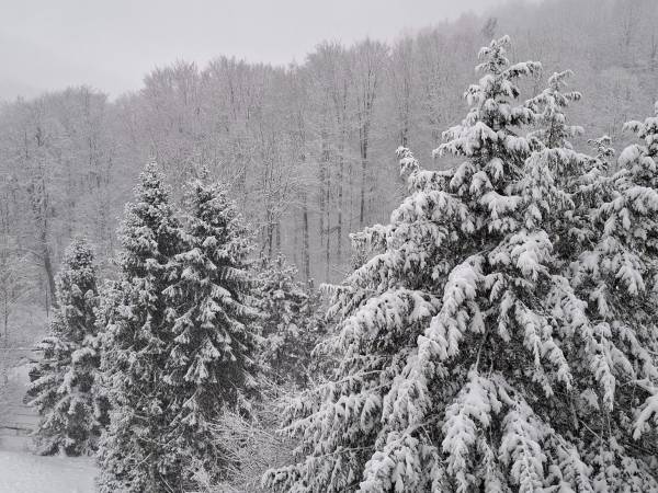 Solis - Wellness & Rehabilitacja