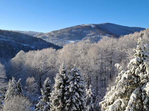 Solis - Wellness & Rehabilitacja