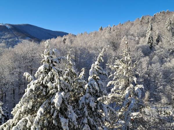 Solis - Wellness & Rehabilitacja