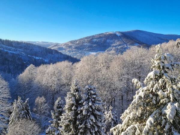 Solis - Wellness & Rehabilitacja