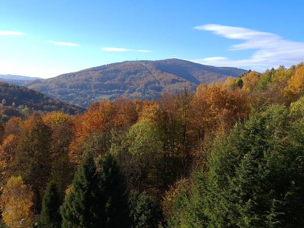 Solis - Wellness & Rehabilitacja