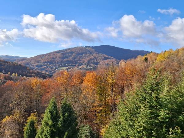 Solis - Wellness & Rehabilitacja