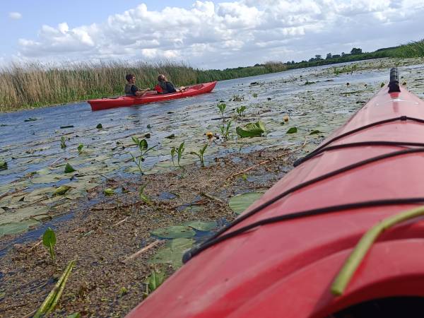 Zielony Domek Nad Biebrzą