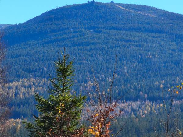 Apartament Górski Widok