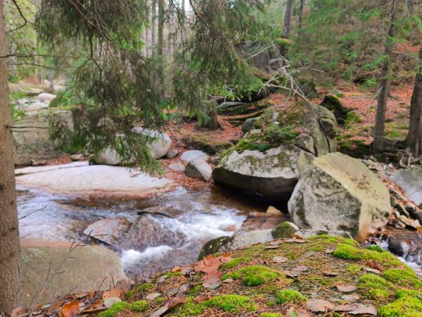 Apartament Górski Widok