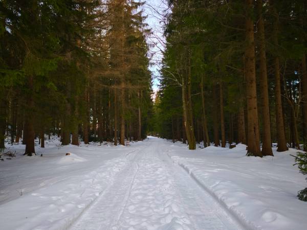 Apartament Górski Widok