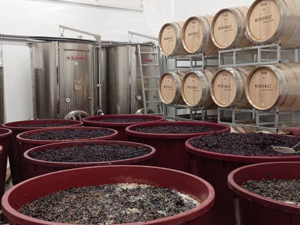 Zwiedzanie Winnicy Mickiewicz