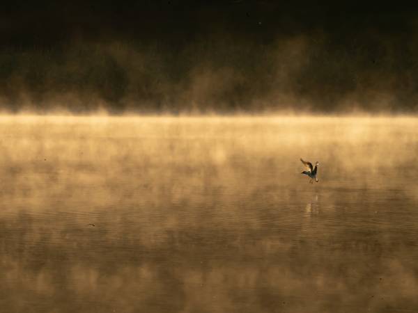 Ośrodek Wypoczynkowy Czerwiński