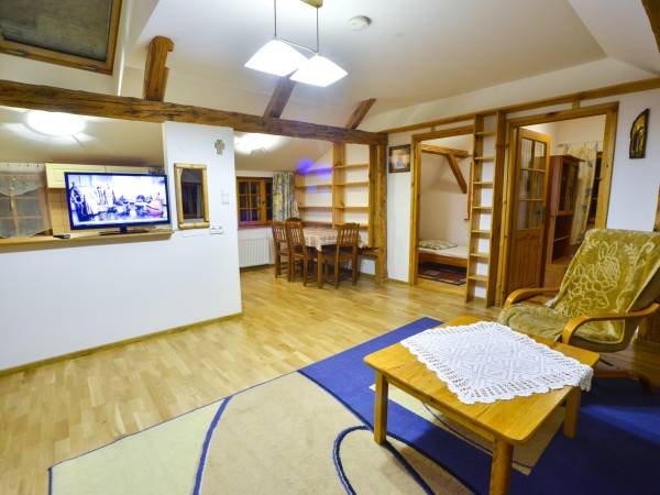 APARTAMENT POD BRZOZĄ - SALON