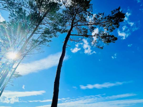 Domki Groszek Sarbinowo 