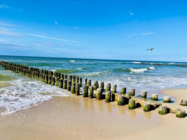 Domki Groszek Sarbinowo 