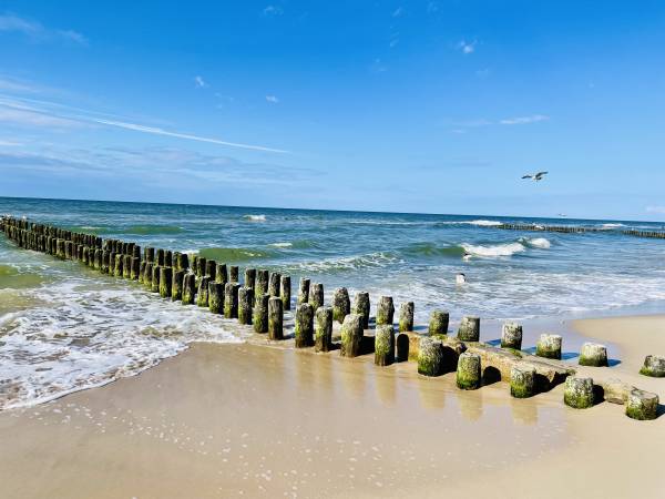 Domki Groszek Sarbinowo 