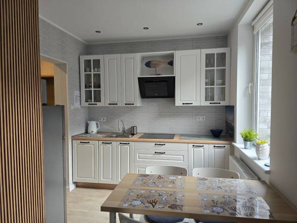 kuchnia - płyta indukcyjna, zmywarka,kuchenka mikrofalowa,lodówka, czajnik bezprzewodowy