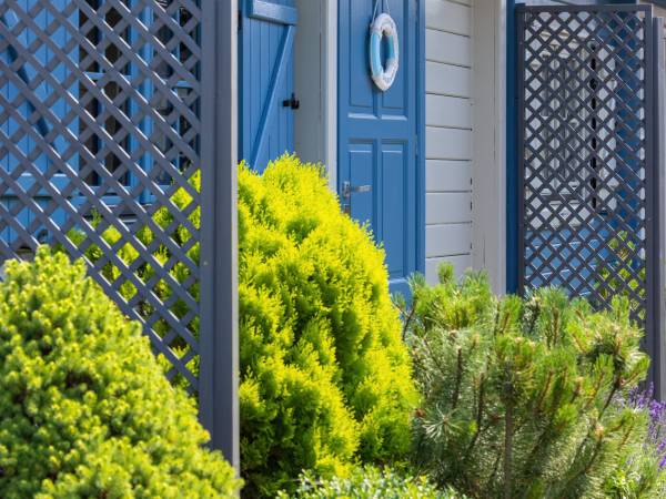 Domki Letniskowe Albatros