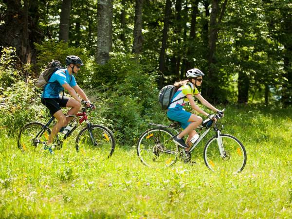 liczne ścieżki rowerowe