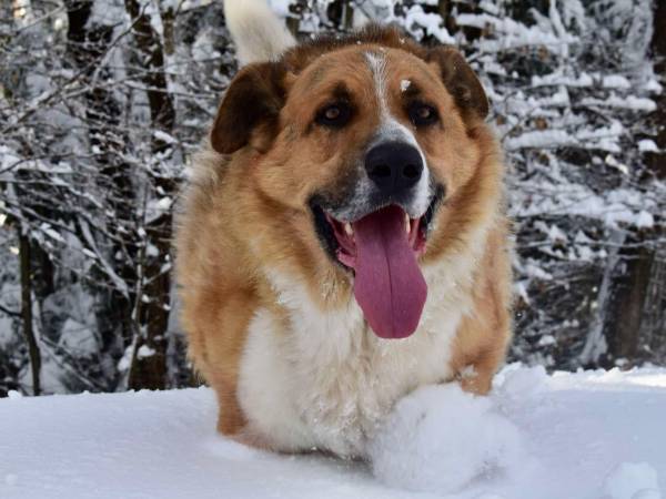 Gospodarstwo agroturystyczne Owczarzówka