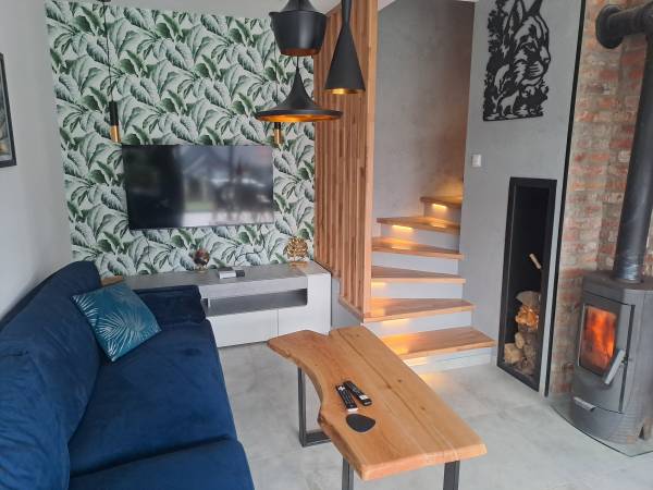 Domek rys Widokowa Ujsoły