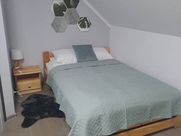 Domek rys Widokowa Ujsoły