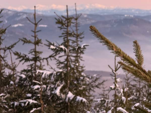 Chata U Ali - Noclegi Milówka, Żywiec