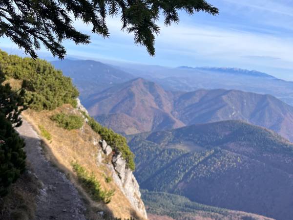 Chata U Ali - Noclegi Milówka, Żywiec