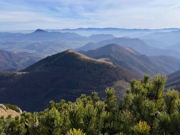 Chata U Ali - Noclegi Milówka, Żywiec