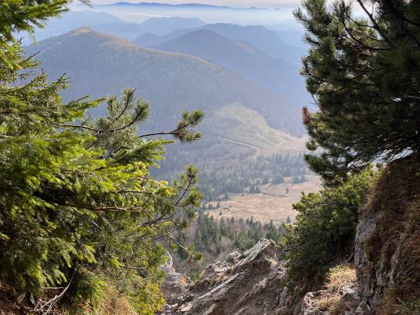 Chata U Ali - Noclegi Milówka, Żywiec