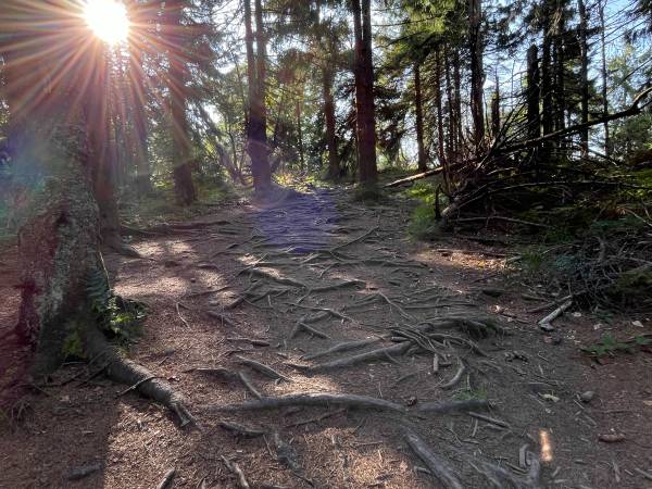Chata U Ali - Noclegi Milówka, Żywiec