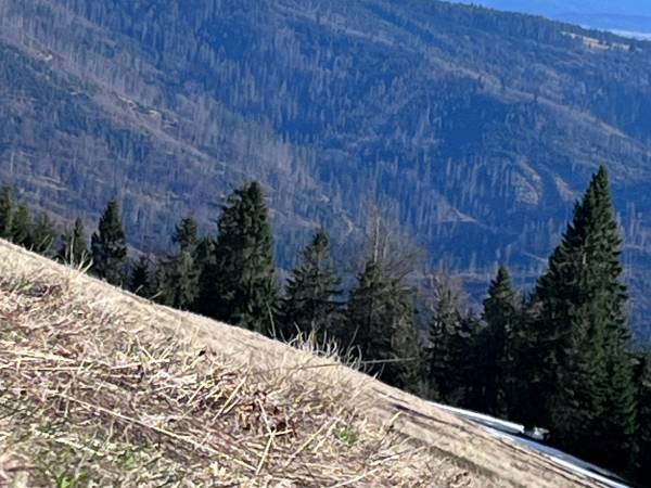 Chata U Ali - Noclegi Milówka, Żywiec